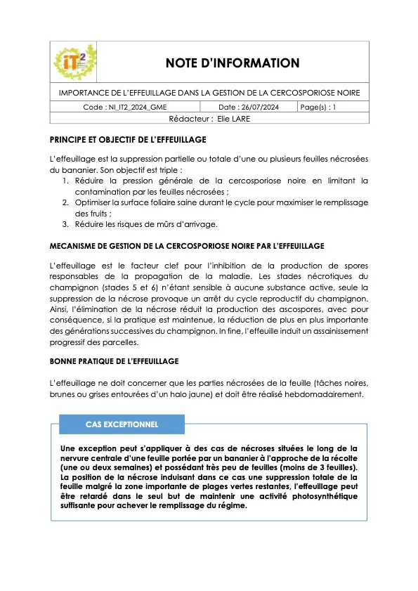 [CERCOTROP] Importance de l’effeuillage dans la gestion de la cercosporiose noire (NI_IT2_PIC_CERCOTROP_COUPE-FEUILLE)