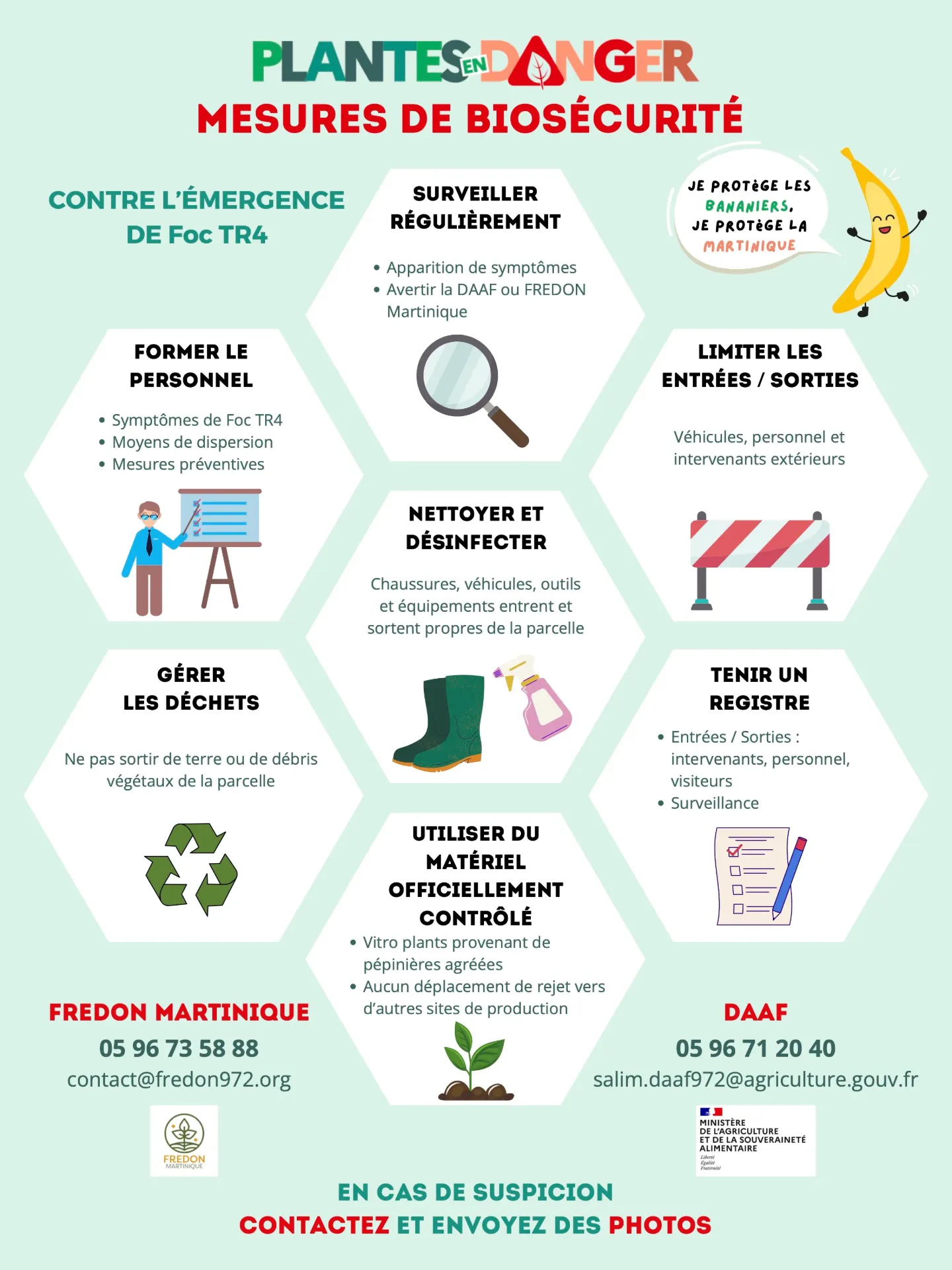 Alerte FOC TR4 en Equateur (Biosecurite_planteurs_foc_tr4)