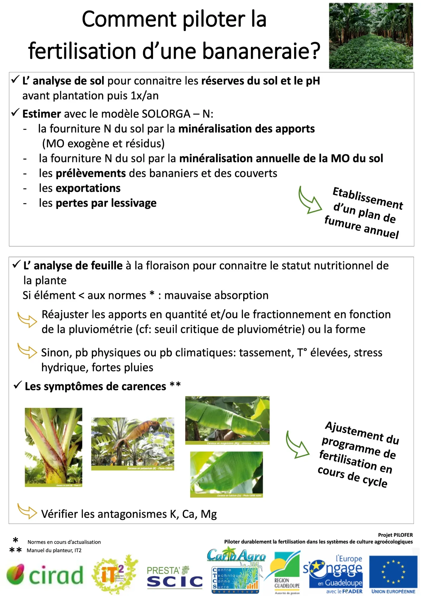 PILOFER – Posters fertilisation en bananeraie (ENR_IT2_2024_FASC_PILOFER_Poster-CIRAD)