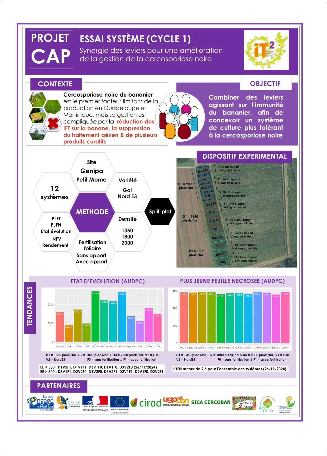 CAP – Poster essai système cercosporiose (Cycle 1) (DOC_IT2_GME_2024_CAP_Poster-essai-systeme-cycle-1_LARE-061224)