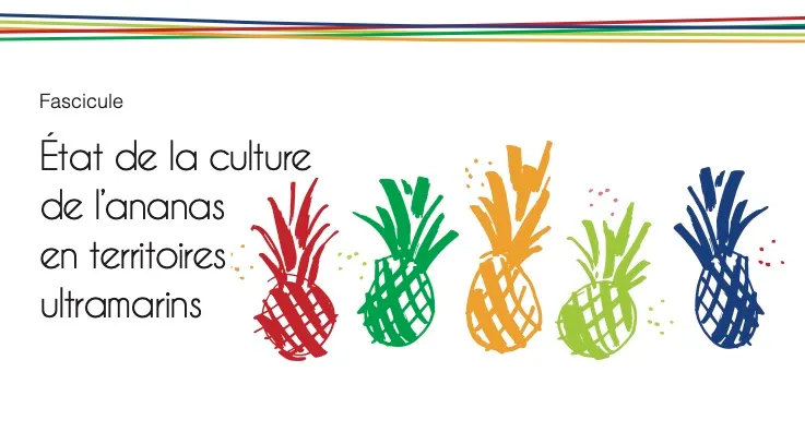 Etat de la culture de l’ananas en territoires ultramarins (Fascicule-ANANAS-BD)