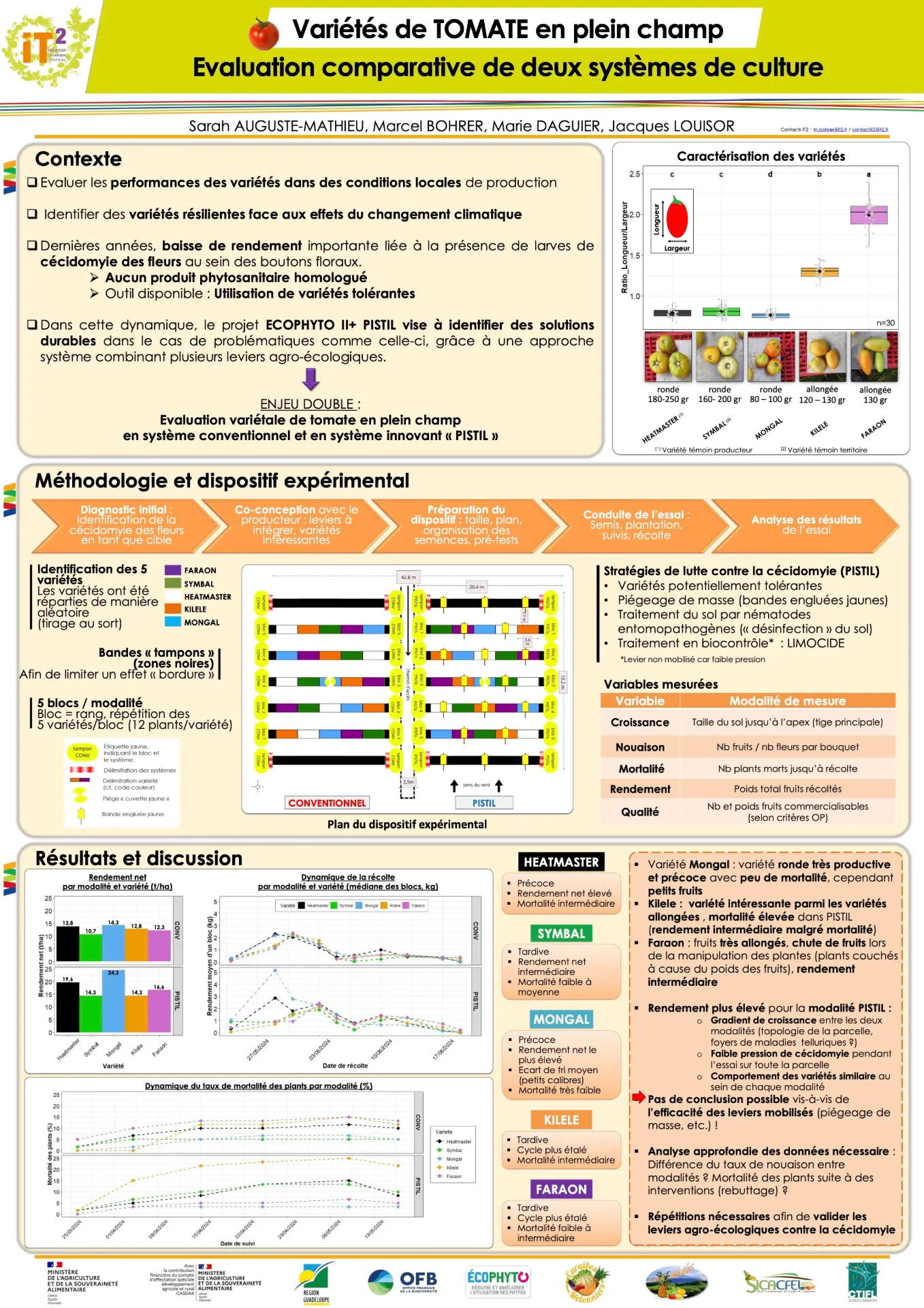 PISTIL/PDAR – Variétés de tomates en plein champ (ENR_IT2_2024_AMVSV_Poster_PDARPISTIL_Tomate_AG2024_vf)