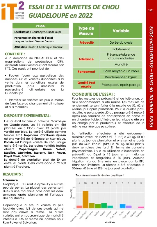 Essais variétaux – Culture Chou  (CR_IT2_2023_AMV_ESSAI_VARIETAUX_CHOU_VF)