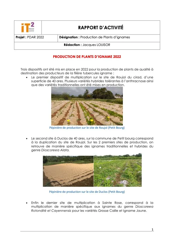 Rapport d’activité 2022 – Production de plants d’igname (DOC_IT2_2023_PDAR-2023_Rapport-dactivite-production-plants-dignames-2022)