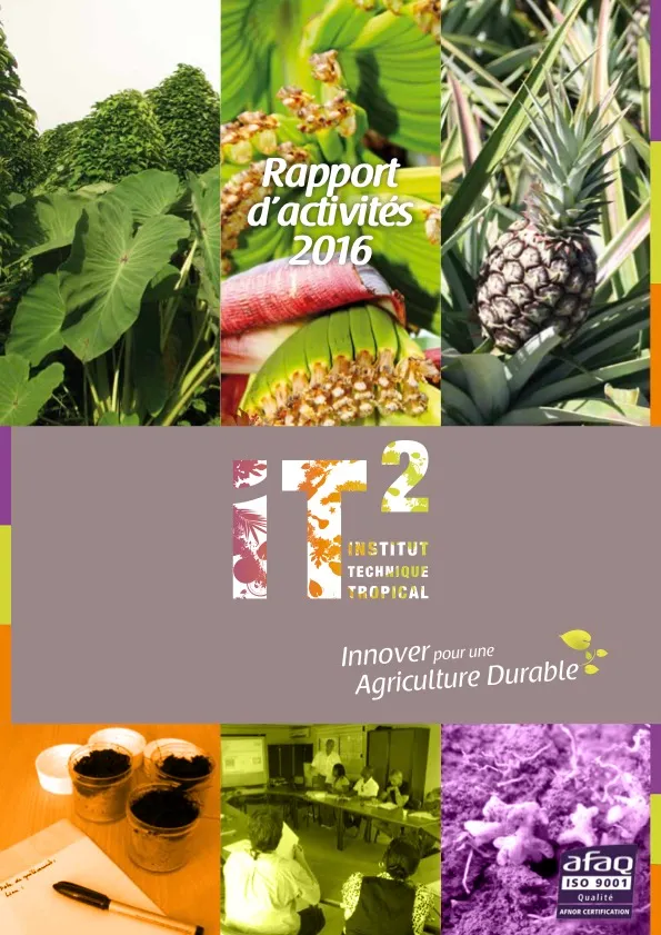 Rapport d’activités de l’IT2 : 2016 (IT2_RAPPORT_ACTIV_A4_mars2017-1)